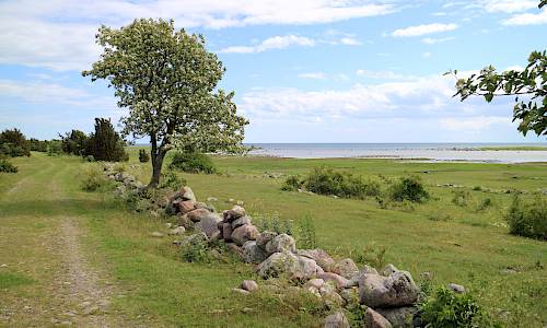 Södra holm och Södra viken