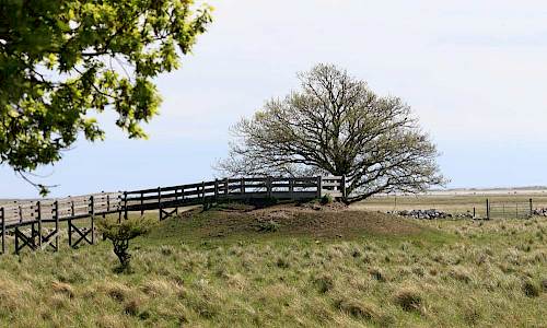 Foto: Stefan Svenaeus 2017