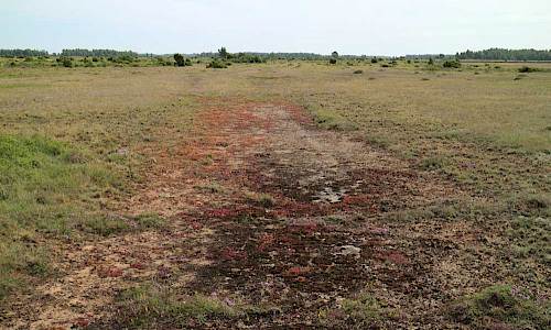 Foto: Stefan Svenaeus 2017