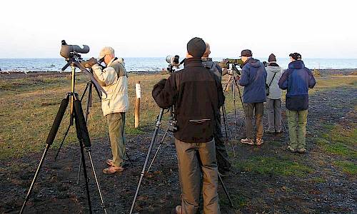 Foto: Stefan Svenaeus