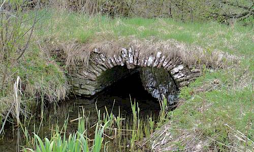 Foto: Stefan Svenaeus 2017