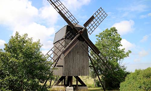 Foto: Stefan Svenaeus 2017