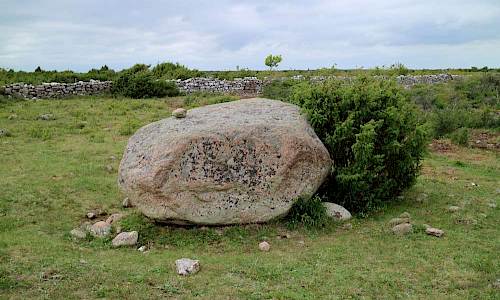 Foto: Stefan Svenaeus