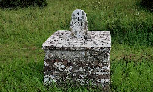 Foto: Stefan Svenaeus 2017