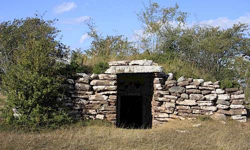 Foto: Stefan Svenaeus