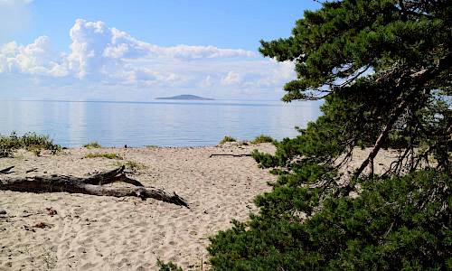 Blå Jungfrun i bakgrunden. Foto: Stefan Svenaeus 2017