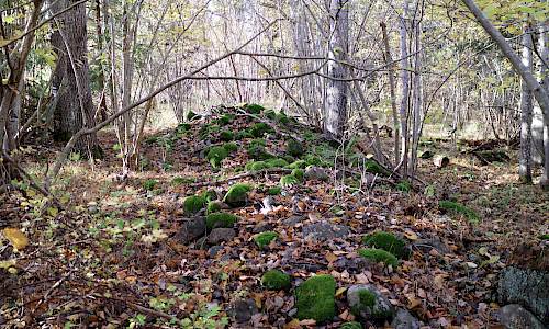 Foto: Stefan Svenaeus