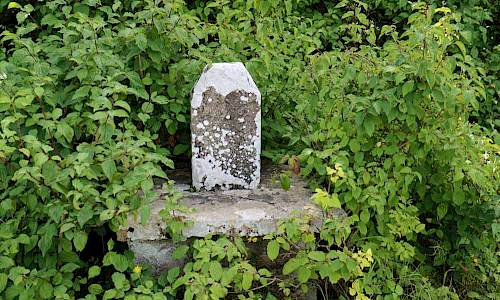 Foto: Stefan Svenaeus 2017