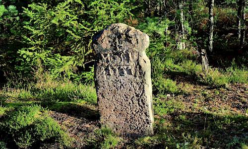 Foto: Stefan Svenaeus 2017