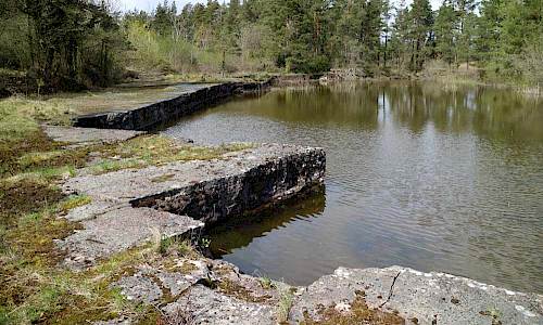 Foto: Stefan Svenaeus 2018