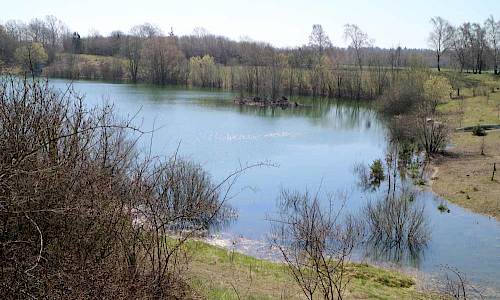 Foto: Stefan Svenaeus 2018