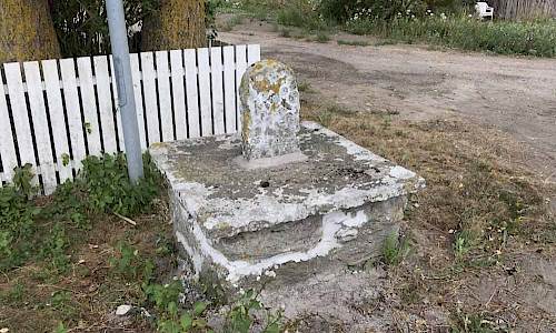 Foto: Stefan Svenaeus 2018