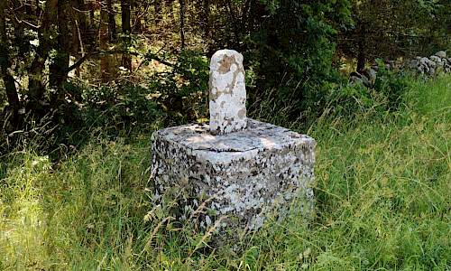 Foto: Stefan Svenaeus 2017