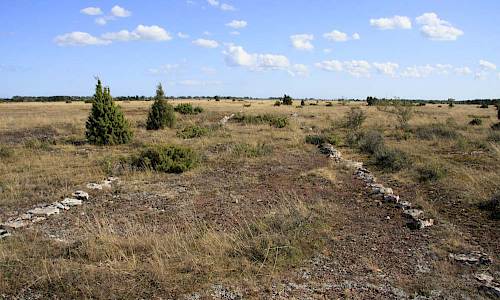 Foto: Stefan Svenaeus 2015