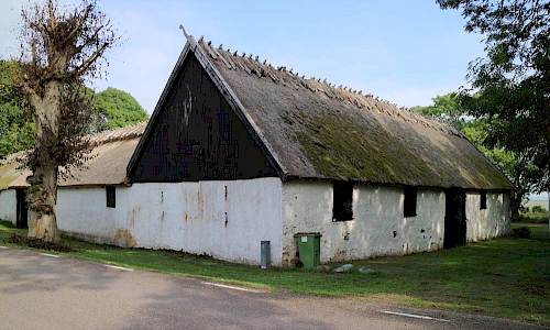 Foto: Stefan Svenaeus 2018