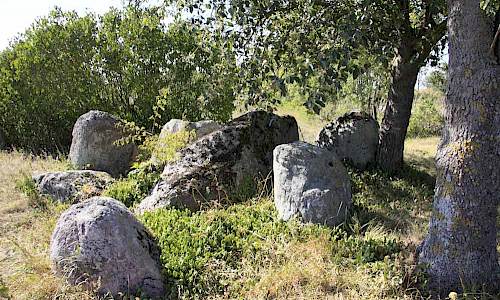 Mysinge gånggrift Foto: Stefan Svenaeus