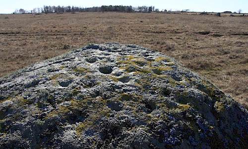 Offersten med skålgropar i Slagerstad Foto: Stefan Svenaeus