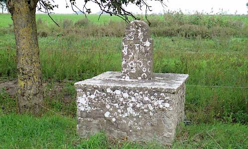 Foto: Stefan Svenaeus 2018
