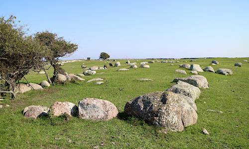 Husgrund Foto: Stefan Svenaeus 2021