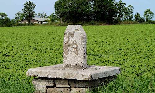 Foto: Stefan Svenaeus 2017
