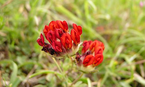 Foto: Stefan Svenaeus