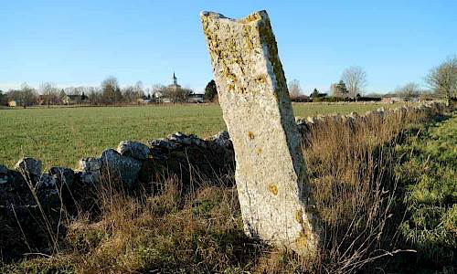 Foto: Stefan Svenaeus 2019