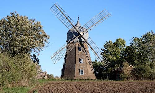 Foto: Stefan Svenaeus