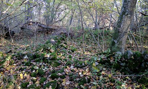 Foto: Stefan Svenaeus 2017
