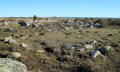Foto: Stefan Svenaeus 2019