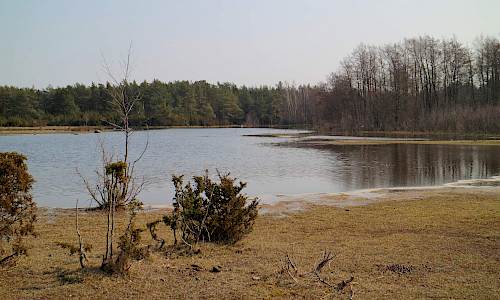 Foto: Stefan Svenaeus 2019