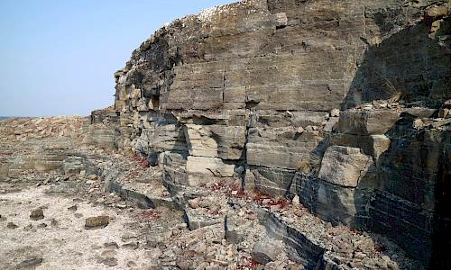 Foto: Stefan Svenaeus 2019
