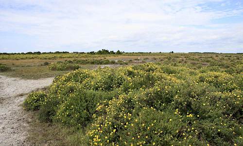 Foto: Stefan Svenaeus