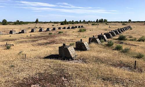 Foto: Stefan Svenaeus 2019
