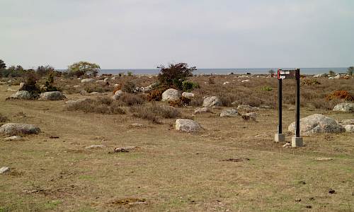 Foto: Stefan Svenaeus