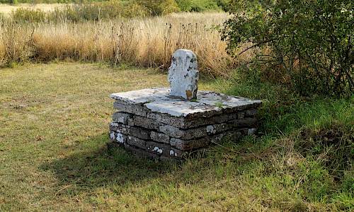 Foto: Stefan Svenaeus 2019