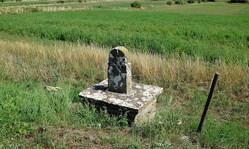 Foto: Stefan Svenaeus 2019
