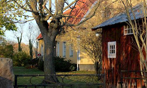 Foto: Stefan Svenaeus 2019