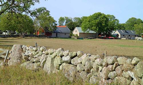 Östra gården i Honungstorp Foto: Stefan Svenaeus 2019