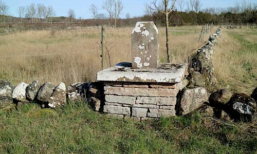 Foto: Stefan Svenaeus 2020