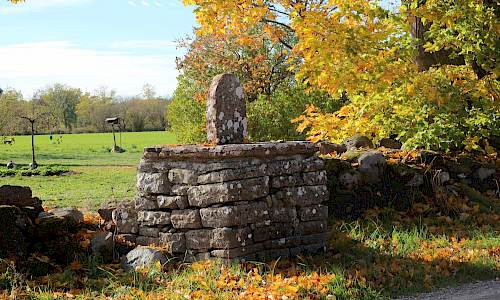 Foto: Stefan Svenaeus 2018