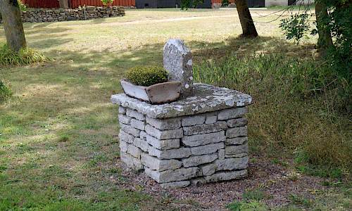 Foto: Stefan Svenaeus 2019