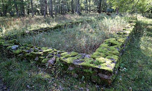 Foto: Stefan Svenaeus 2019