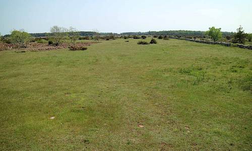 Foto: Stefan Svenaeus 2019
