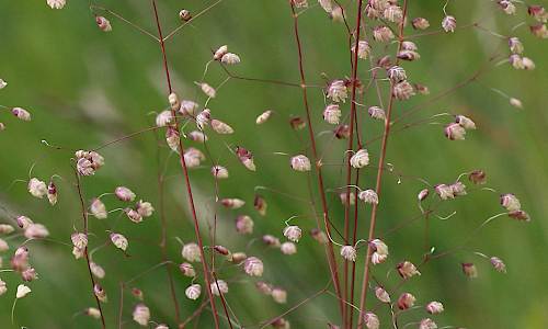 Foto: Stefan Svenaeus