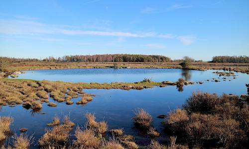 Foto: Stefan Svenaeus februari 2020