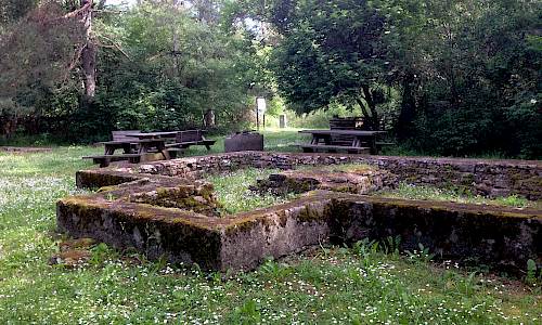 Foto: Stefan Svenaeus