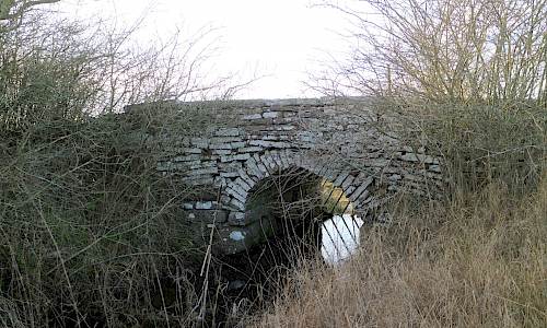 Foto: Stefan Svenaeus 2020