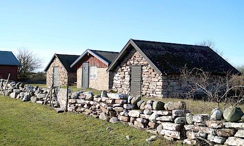 Foto: Stefan Svenaeus 2020
