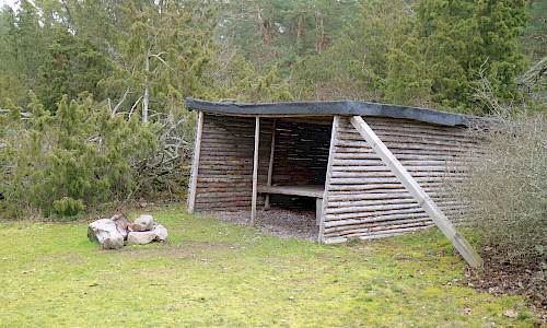 Foto: Stefan Svenaeus 2020