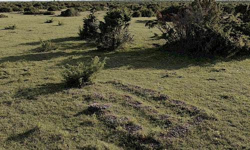 Foto: Oddbjörn Andersson